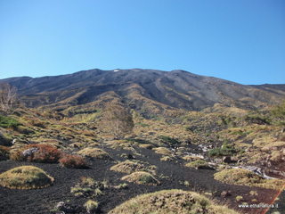 Torrente Quarantore